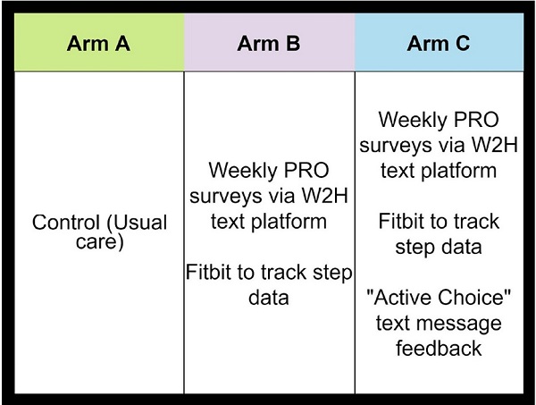 Figure 1: Patient Arms